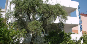 Image header